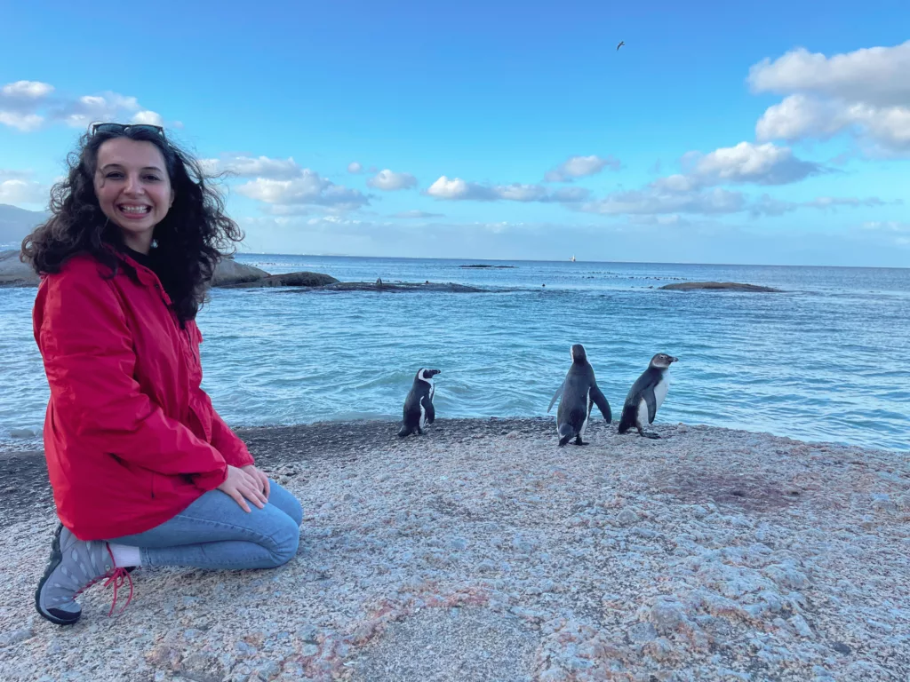 Cape Town Travel boulders beach penguins