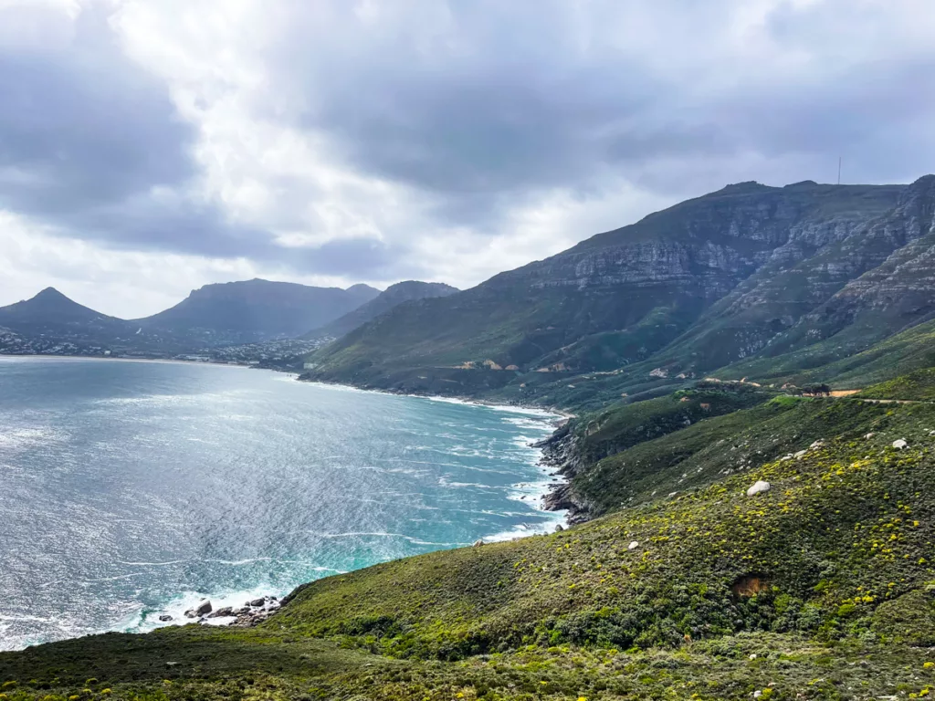 cape town hout bay forrest